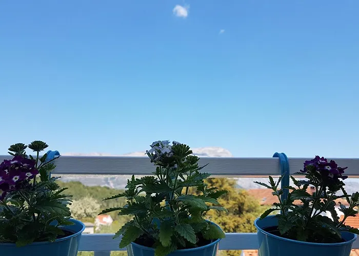 Apartman Lucija