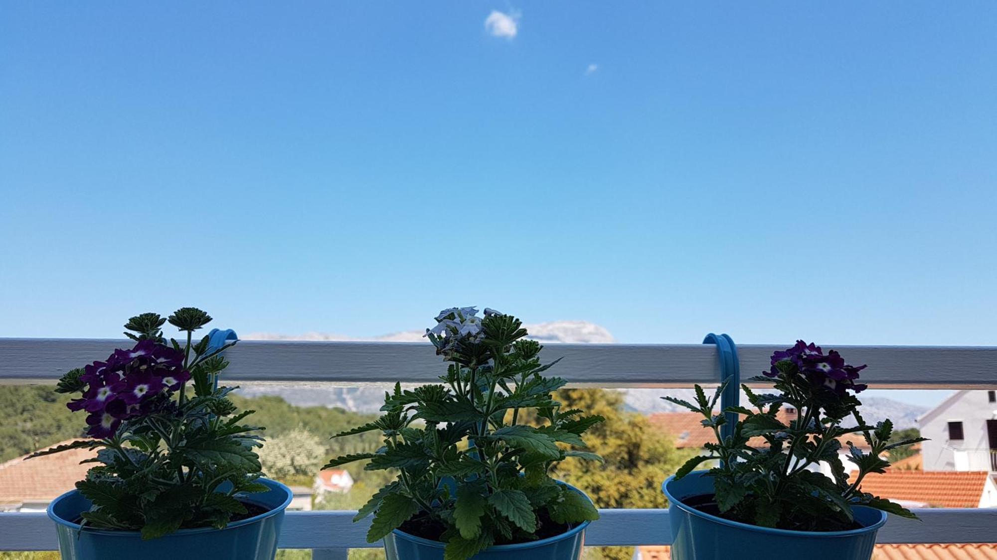 Apartment Lucija