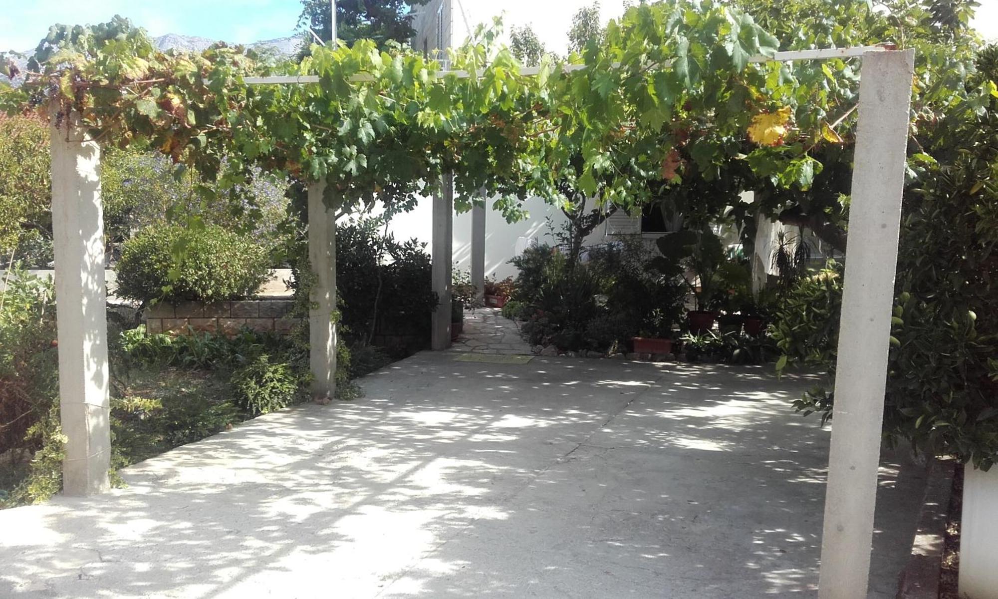 Lucija