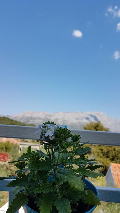 Appartamento Lucija